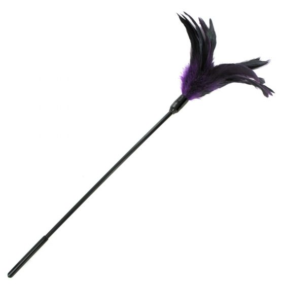 Σπορτσέτς - αίσθησιακή φτερωτή βούρτσα με μακρύ στέλεχος (μοβ-μαύρο)