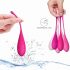 FEELZTOYS Femmefit - σετ μπαλάκια Kegel (6 τεμάχια) 